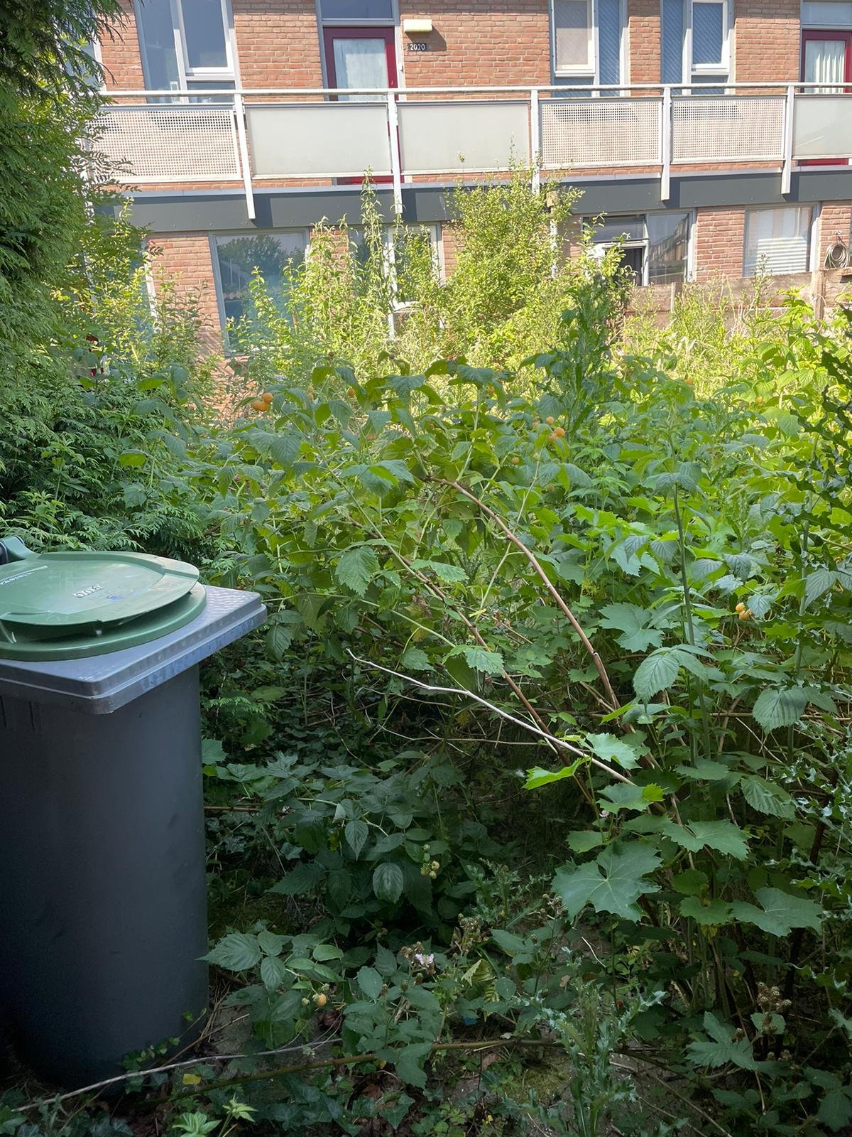 Tuin ontruiming Wijchen